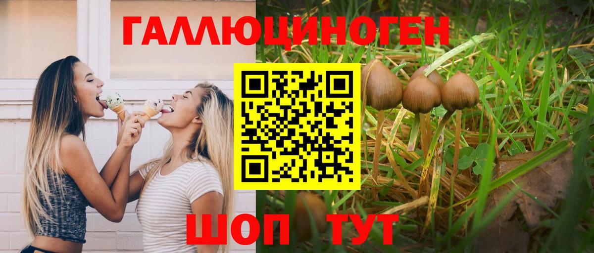 Галлюциногенные грибы GOLDEN TEACHER Тобольск